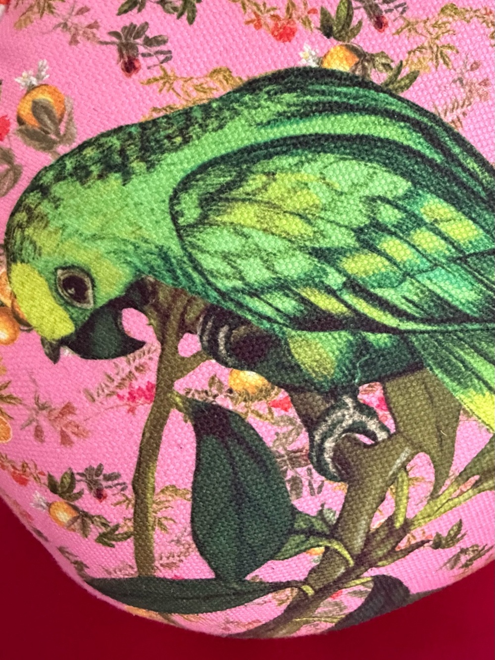 Maeve for Anthropologie Round Pillow with Parrot - Picture 4 of 6